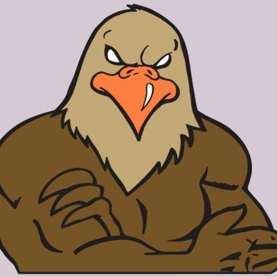 AR FALCON 26 RC Thumbnail