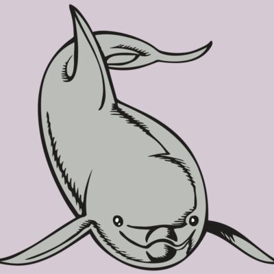 BAW DOLPHIN 02 RC Thumbnail