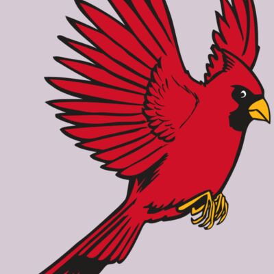 BAW CARDINAL 19 RC Thumbnail