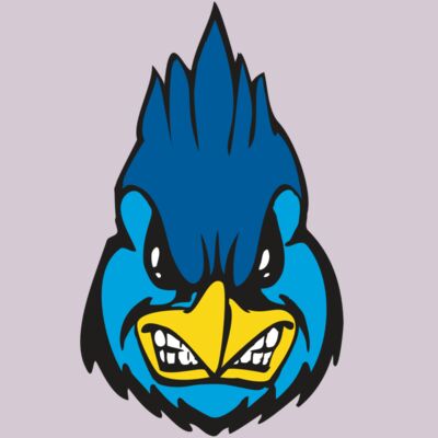 BAW BLUEJAY 02 RC Thumbnail