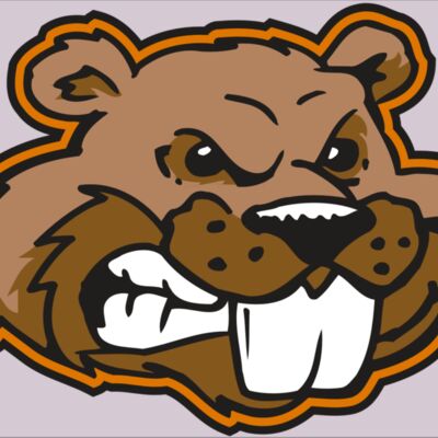 AR BEAVER 11 RC Thumbnail