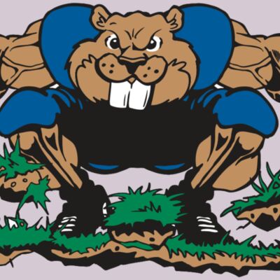 AR14 BEAVER FBLL 04 RQC Thumbnail