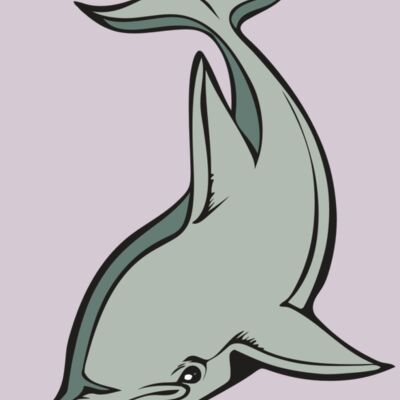 BAW DOLPHIN 01 RC Thumbnail