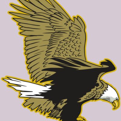 AR10 EAGLE 01 RQC Thumbnail