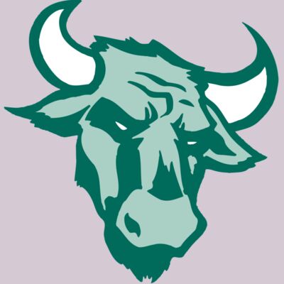 AR BULL 37 RC Thumbnail