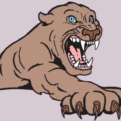 AR5 COUGAR 20 RQC Thumbnail