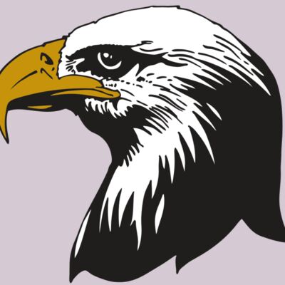 AR EAGLE 87 RC Thumbnail