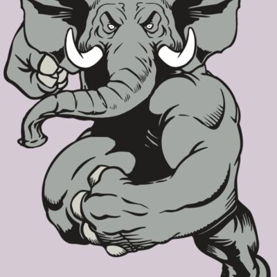 AR ELEPH 18 RC Thumbnail