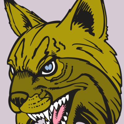 BAW BOBCAT 05 RC Thumbnail