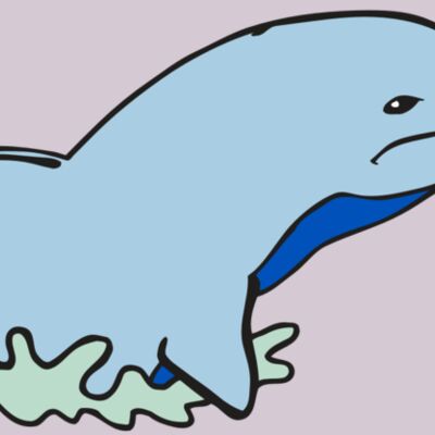 AR DOLPIN 14 RC Thumbnail