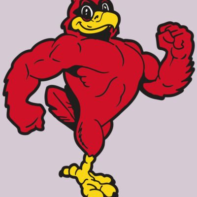 AR CARDINAL 41 RC Thumbnail