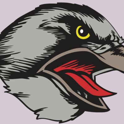 BAW HWK FLCN 13 RC Thumbnail