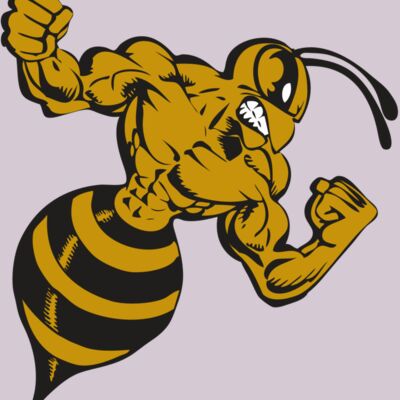 BAW BEE 01 RC Thumbnail