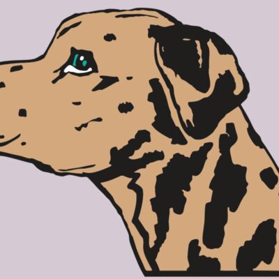 AR2 OTHER 03 RQC Thumbnail