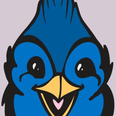 BAW BLUEJAY 19 RC Thumbnail