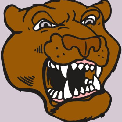 AR5 COUGAR 29 RQC Thumbnail