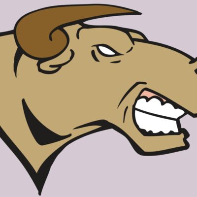 AR BULL 30 RC Thumbnail