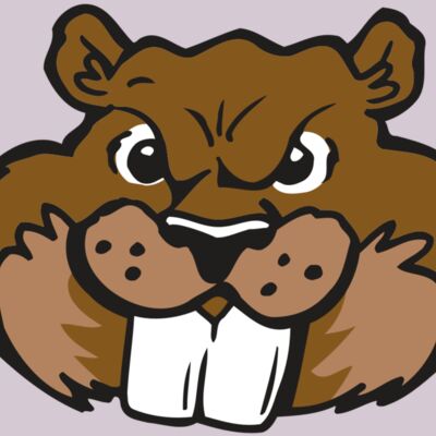 AR BEAVER 10 RC Thumbnail