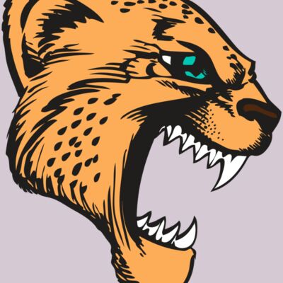 BAW CHEETAH 11 RC Thumbnail