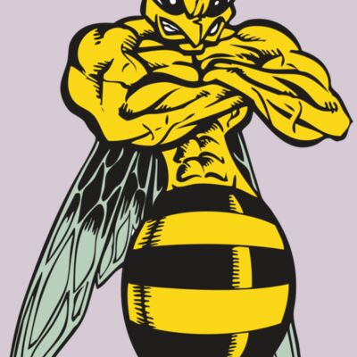 BAW BEE 16 RC Thumbnail