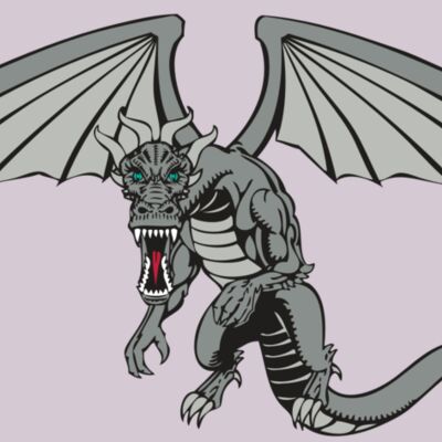 BAW DRAGON 04 RC Thumbnail