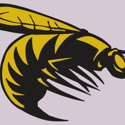 AR BEE 49 RC Thumbnail