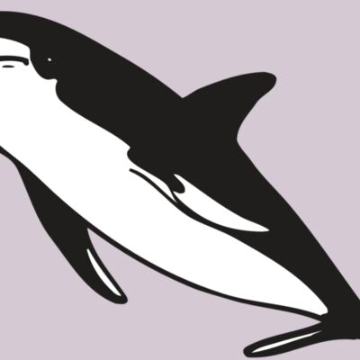 AR DOLPIN 13 RC Thumbnail