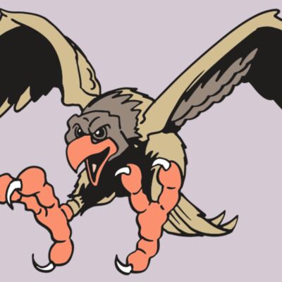 AR EAGLE 15 RC Thumbnail