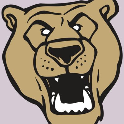 AR BEAR 13 RC Thumbnail