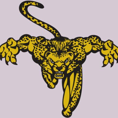 BAW CHEETAH 08 RC Thumbnail