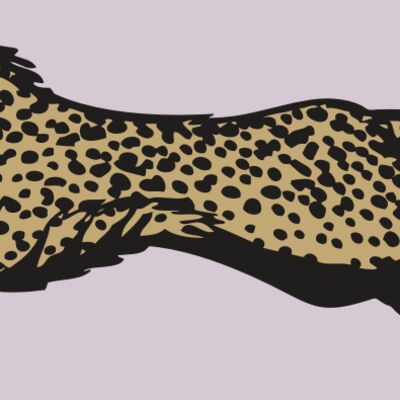 BAW CHEETAH 01 RC Thumbnail