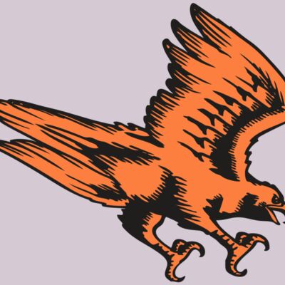 BAW HWK FLCN 04 RC Thumbnail