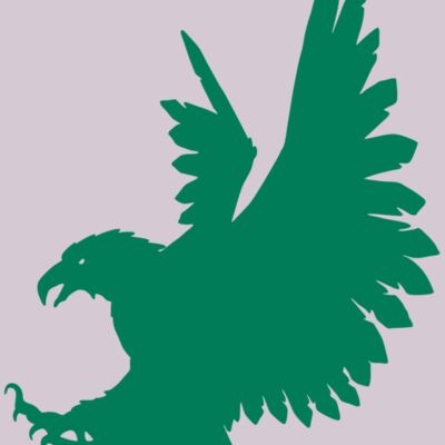 AR EAGLE 88 RC Thumbnail