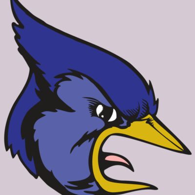 BAW BLUEJAY 04 RC Thumbnail