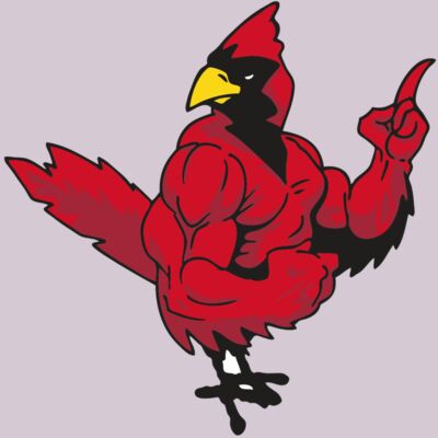 AR CARDINAL 27 RC Thumbnail