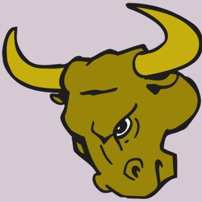 AR BULL 26 RC Thumbnail