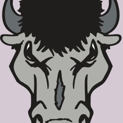 AR BUFFALO 15 RC Thumbnail