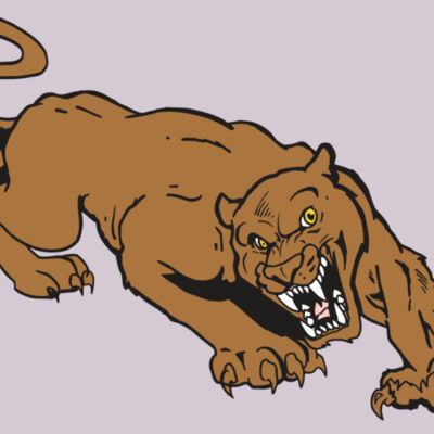 AR5 COUGAR 41 RQC Thumbnail