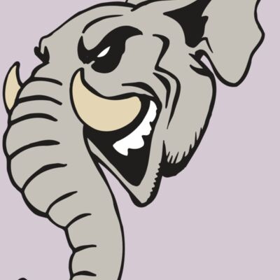 AR5 Elephant 11 RQC Thumbnail