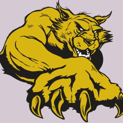 AR WILDCAT 26 RC Thumbnail