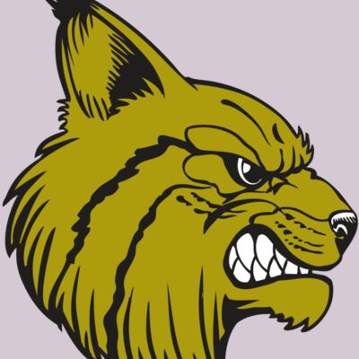 BAW BOBCAT 16 RC Thumbnail