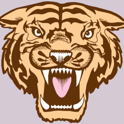 BAW TIGER 05 RC Thumbnail