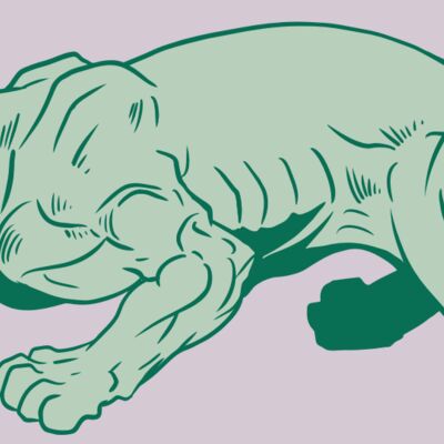 AR10 PANTHER 05 RQC Thumbnail