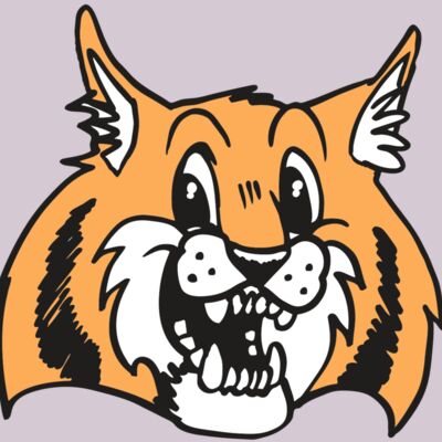 AR WILDCAT 13 RC Thumbnail