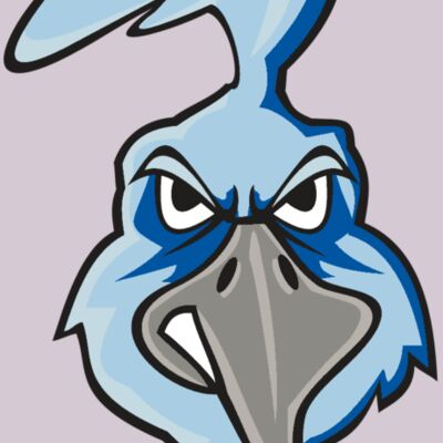 ROADRUNNER HD0502 RQC Thumbnail