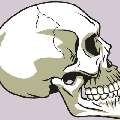 AR24 SKULL 12 RQC Thumbnail