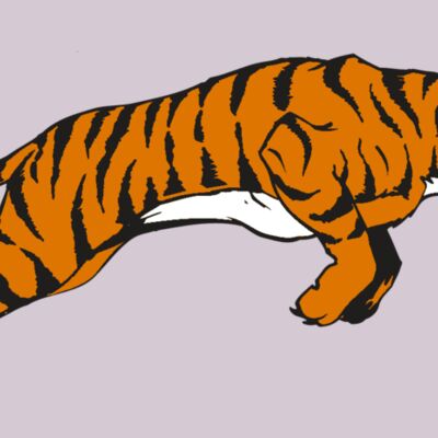 AR TIGER 79 RC Thumbnail