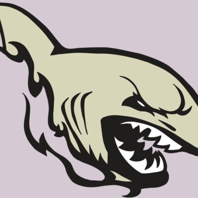 AR5 Shark 08 RQC Thumbnail