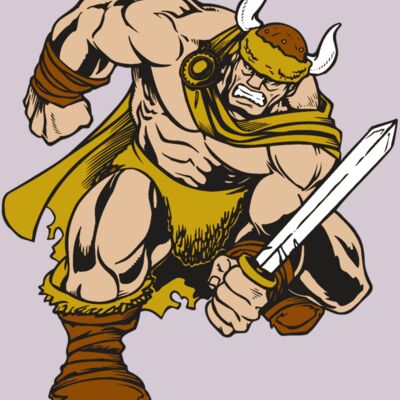 AR VIKING 35 RC Thumbnail