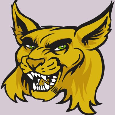 AR30 WILDCAT 03 RQC Thumbnail